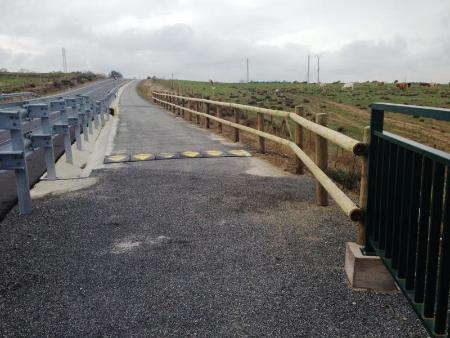 Imagen La Diputación instala una barandilla de seguridad peatonal en el vial de Palazuelos