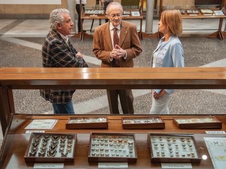 Imagen Las mariposas del mundo toman el Patio de Columnas de la Diputación de Segovia con una exposición de casi novecientos ejemplares de los...